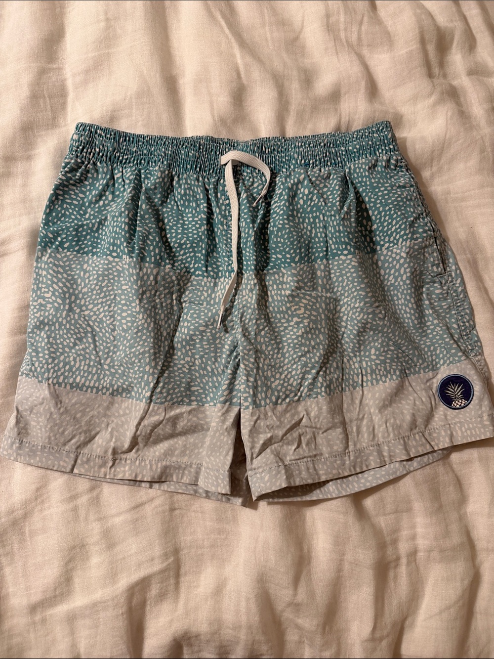chubbies Teal and Light Gray Men's Swim Board Shorts